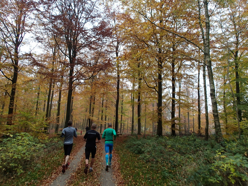 LBEREN Skovmarathon 2015 - Tor Rnnow 