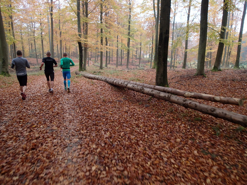 LBEREN Skovmarathon 2015 - Tor Rnnow 