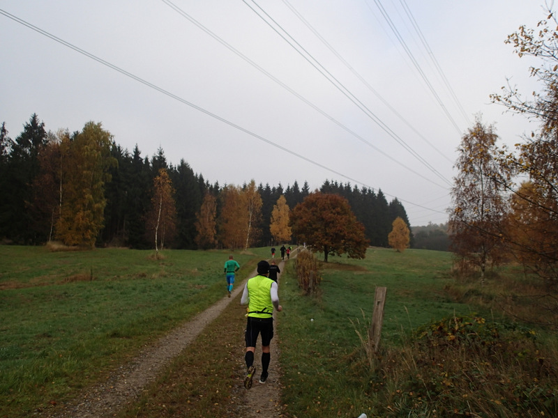 LBEREN Skovmarathon 2015 - Tor Rnnow 