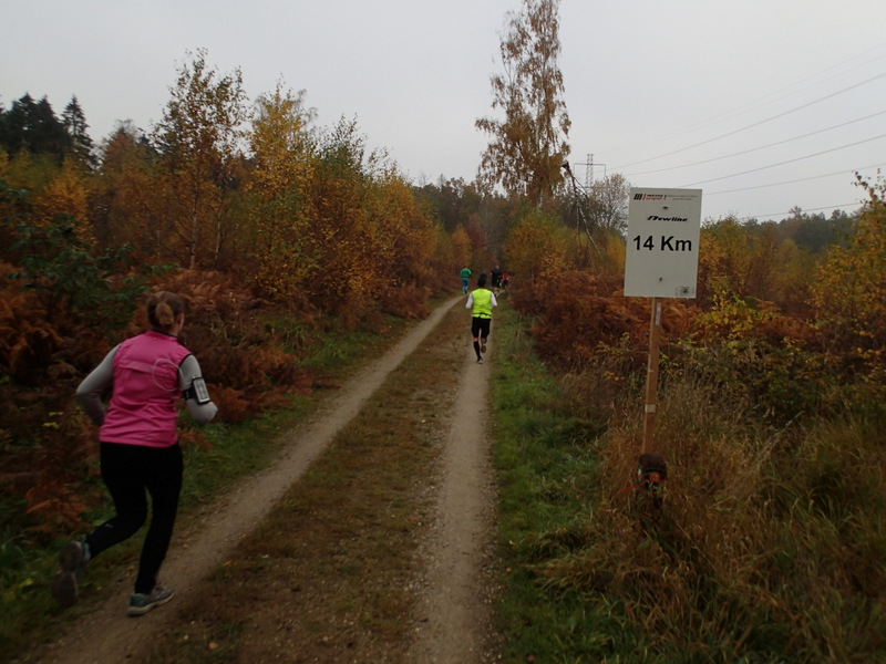 LØBEREN Skovmarathon 2015 - Tor Rønnow 