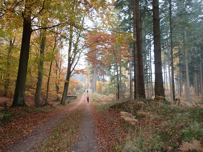 LBEREN Skovmarathon 2015 - Tor Rnnow 