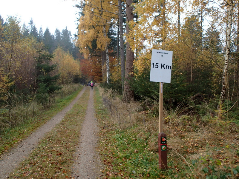 LBEREN Skovmarathon 2015 - Tor Rnnow 