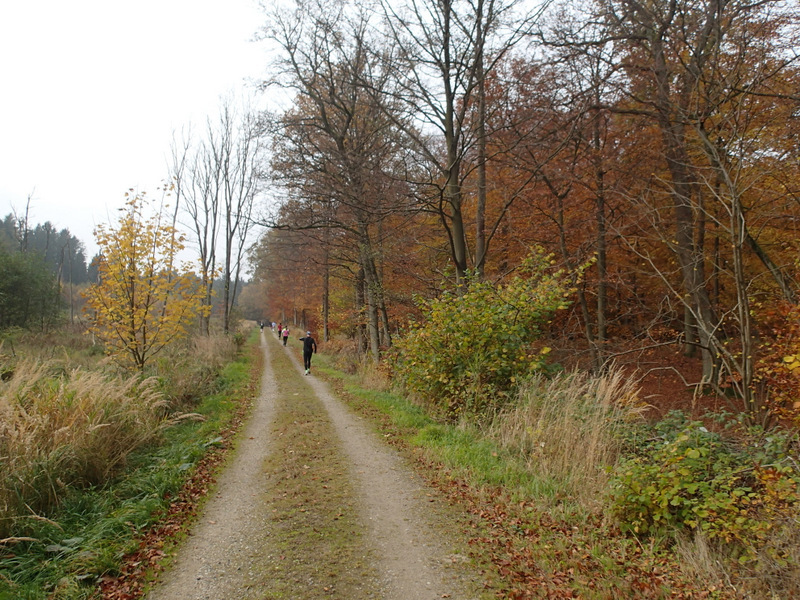 LBEREN Skovmarathon 2015 - Tor Rnnow 