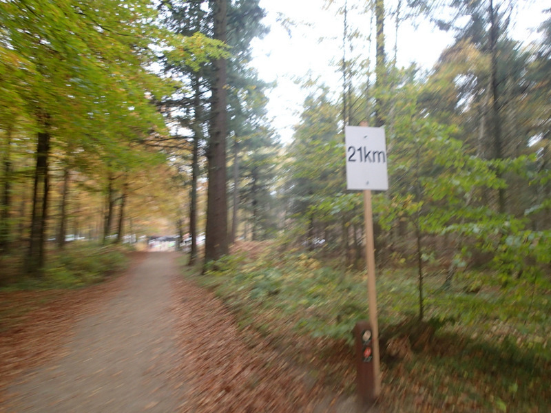LBEREN Skovmarathon 2015 - Tor Rnnow 