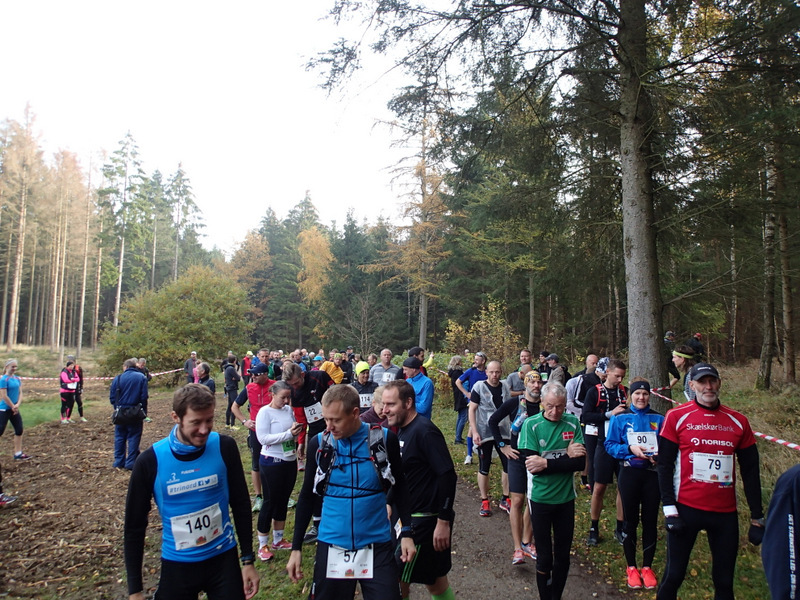 LBEREN Skovmarathon 2015 - Tor Rnnow 