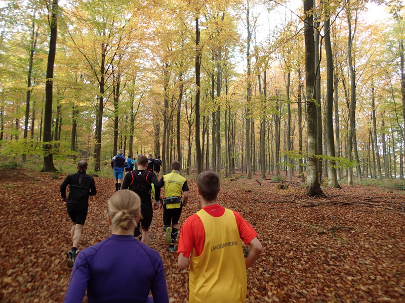 LBEREN Skovmarathon 2015 - Tor Rnnow 