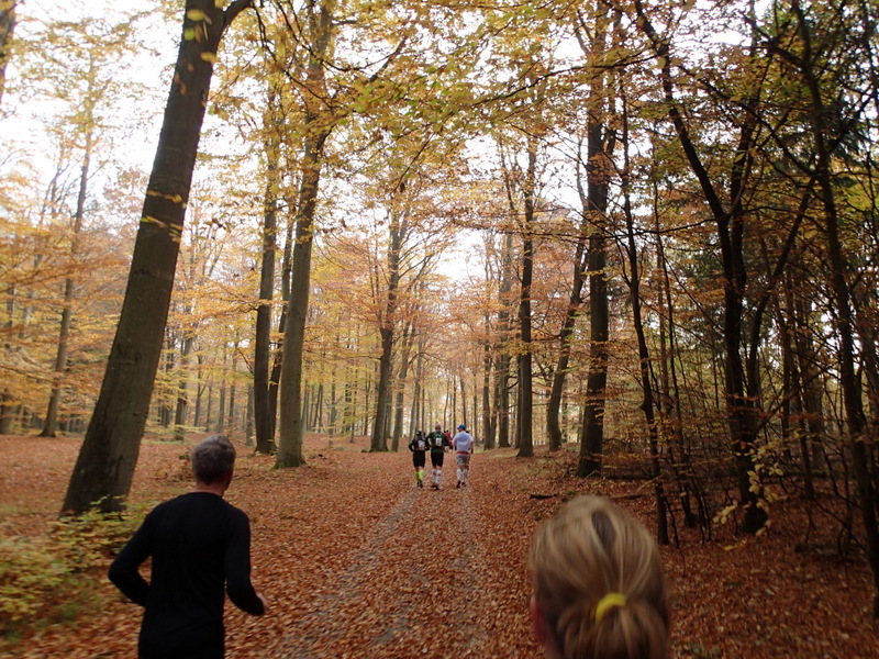 LBEREN Skovmarathon 2015 - Tor Rnnow 