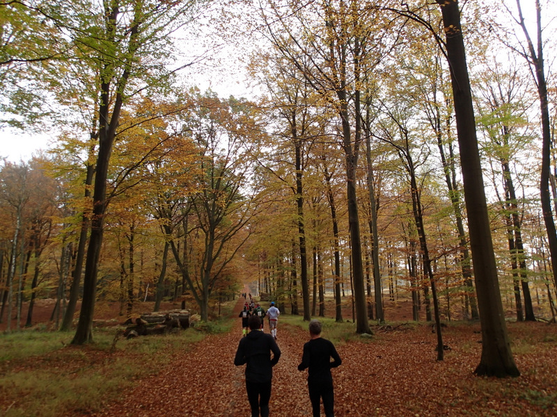 LBEREN Skovmarathon 2015 - Tor Rnnow 