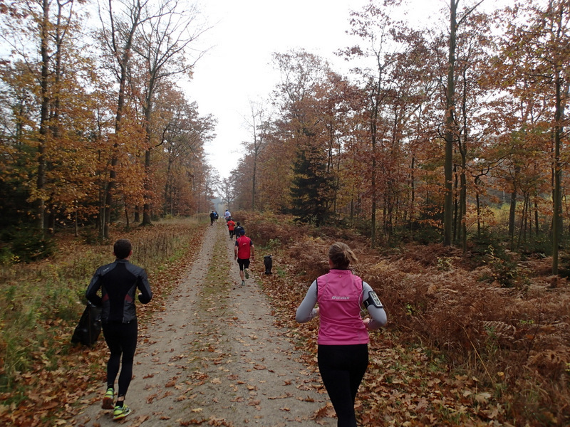 LBEREN Skovmarathon 2015 - Tor Rnnow 