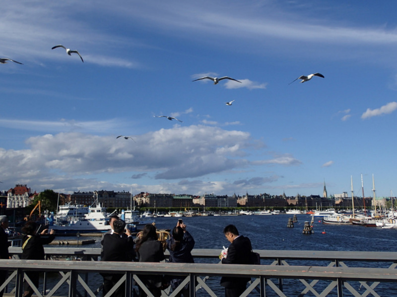 Stockholm Marathon 2015 - Tor Rnnow 