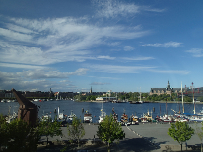 Stockholm Marathon 2015 - Tor Rnnow 