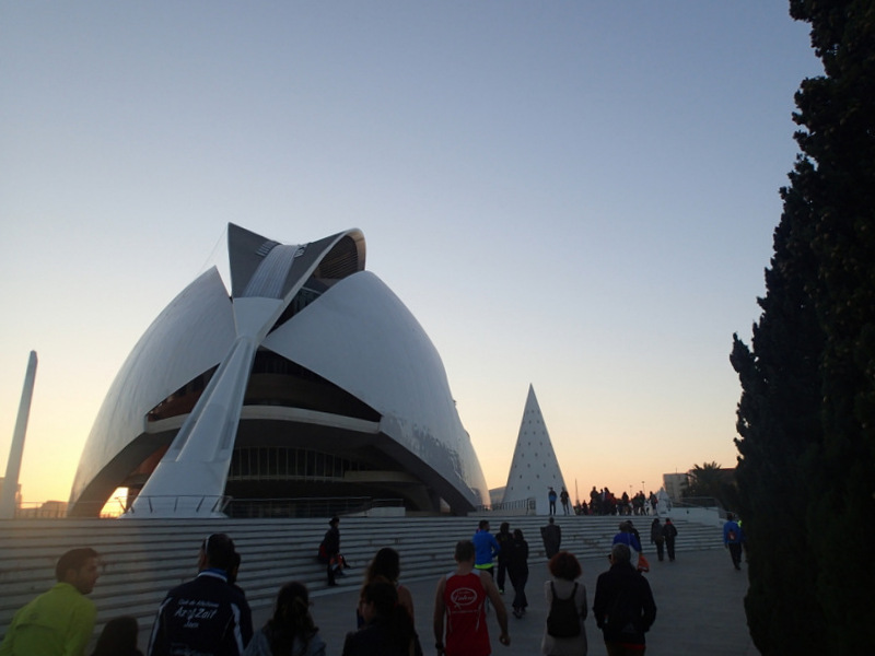 Valencia Marathon 2015 