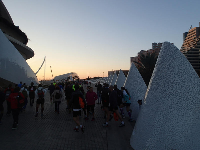 Valencia Marathon 2015 