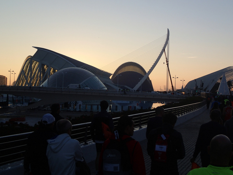 Valencia Marathon 2015 