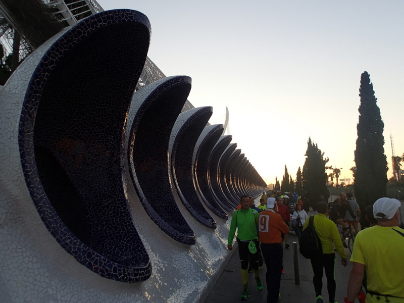 Valencia Marathon 2015 