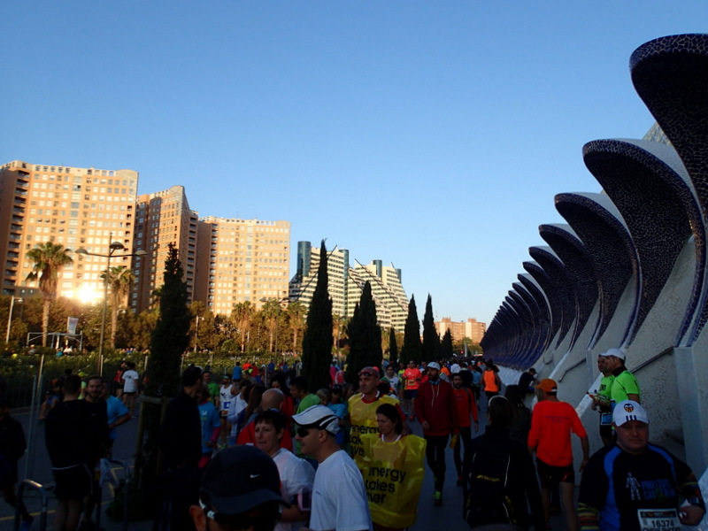 Valencia Marathon 2015 