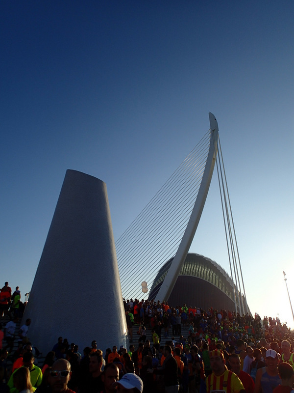 Valencia Marathon 2015 