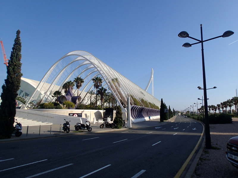 Valencia Marathon 2015 