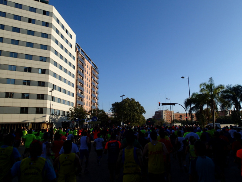 Valencia Marathon 2015 