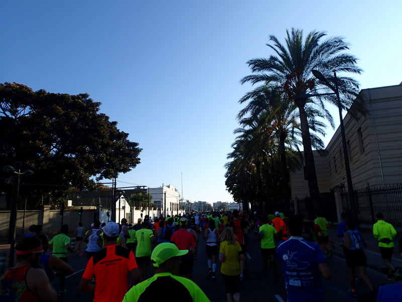 Valencia Marathon 2015 