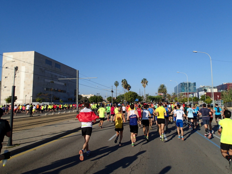 Valencia Marathon 2015 