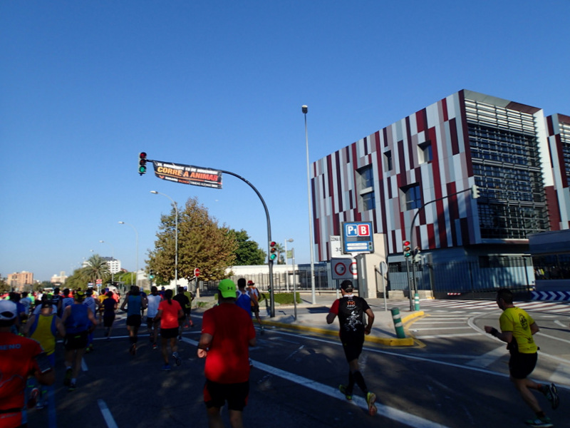 Valencia Marathon 2015 