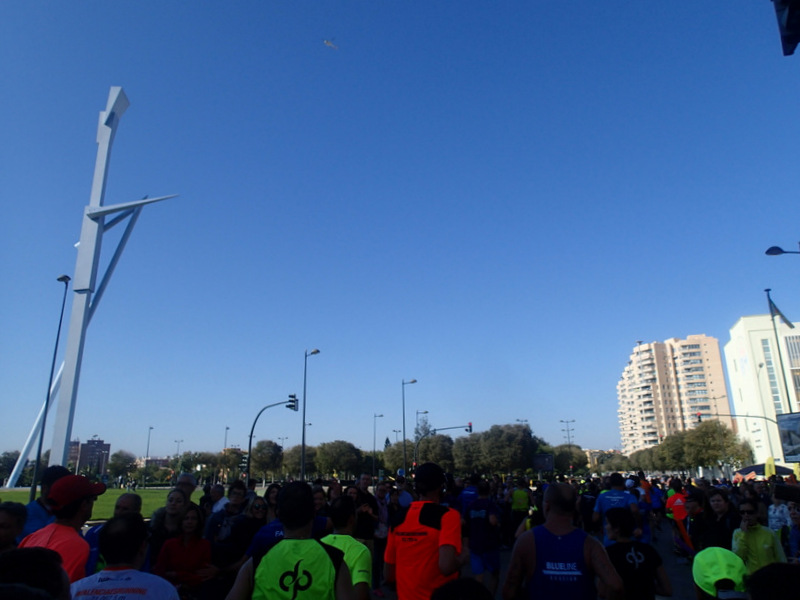 Valencia Marathon 2015 