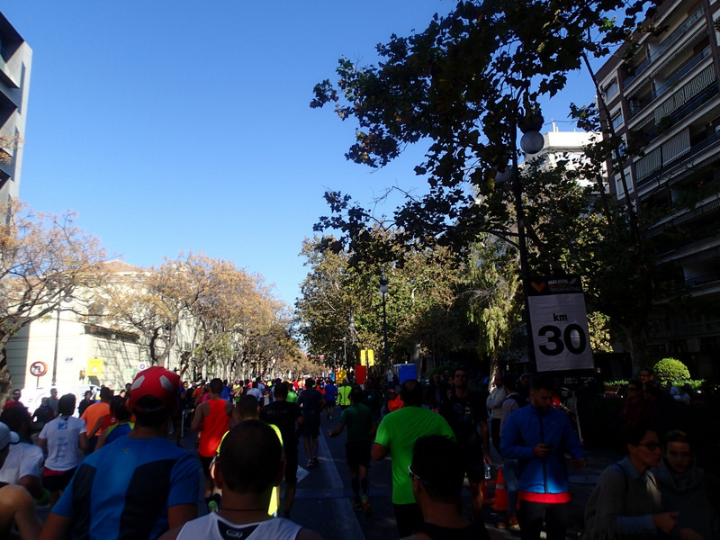 Valencia Marathon 2015 