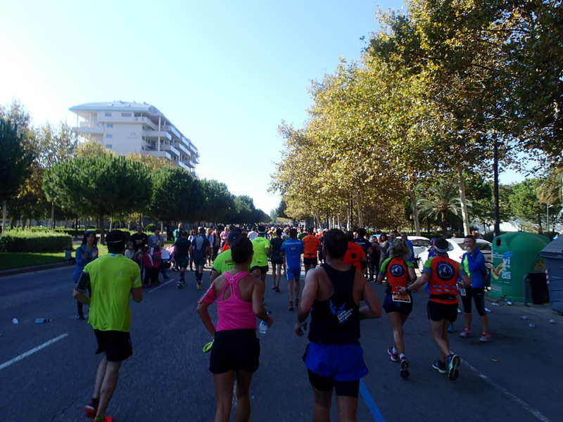 Valencia Marathon 2015 