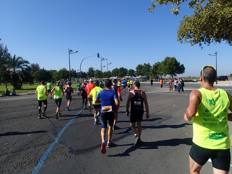 Valencia Marathon 2015 