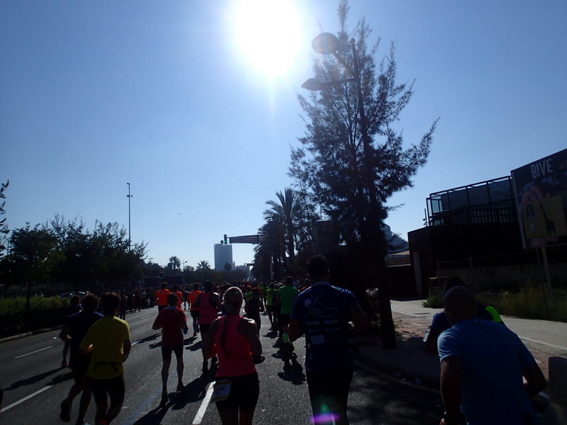 Valencia Marathon 2015 