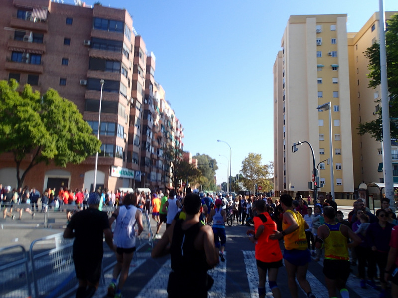 Valencia Marathon 2015 