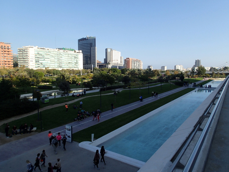 Valencia Marathon 2015 