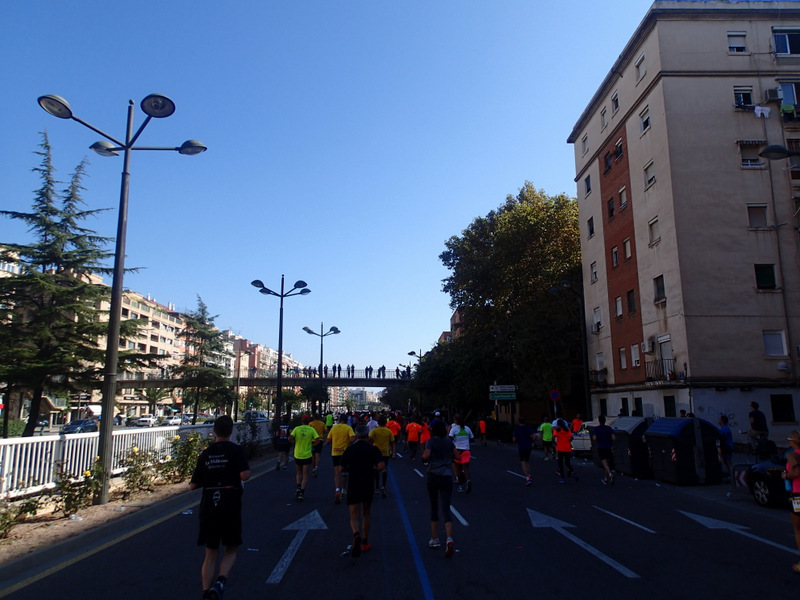 Valencia Marathon 2015 