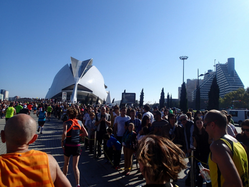 Valencia Marathon 2015 