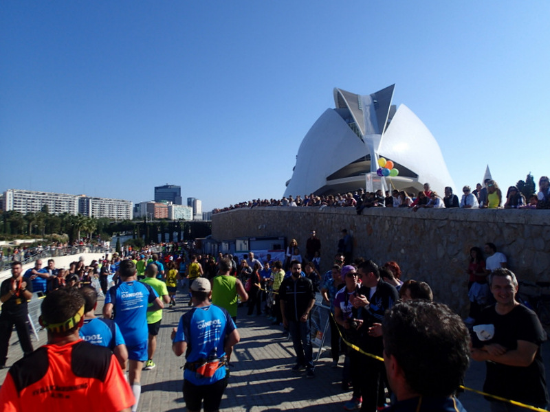 Valencia Marathon 2015 