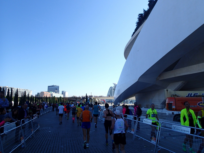 Valencia Marathon 2015 