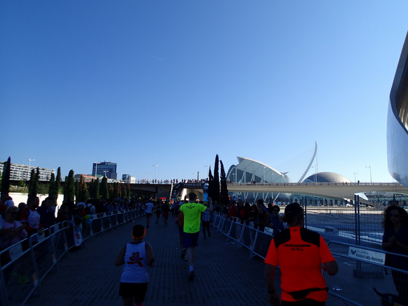 Valencia Marathon 2015 