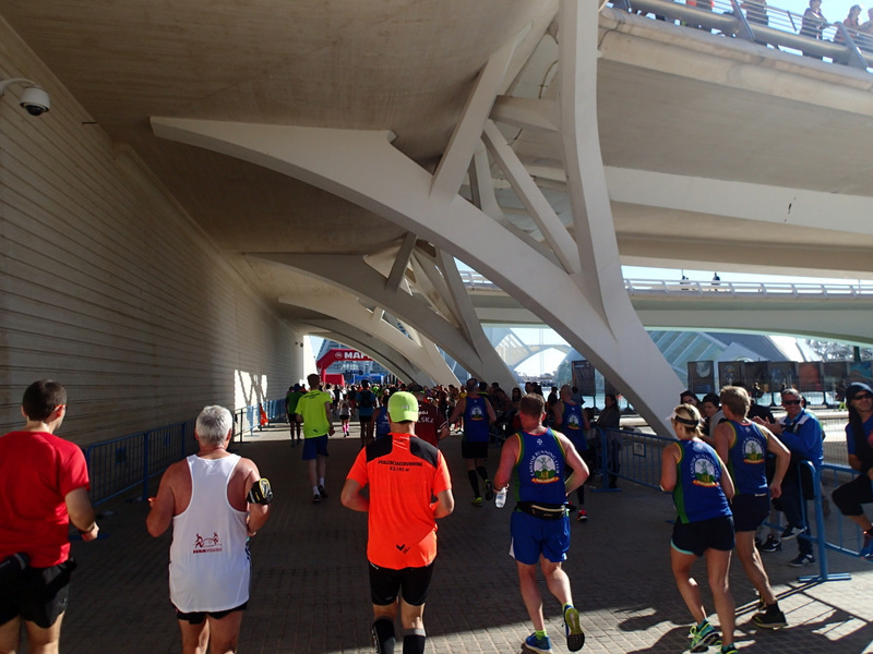 Valencia Marathon 2015 