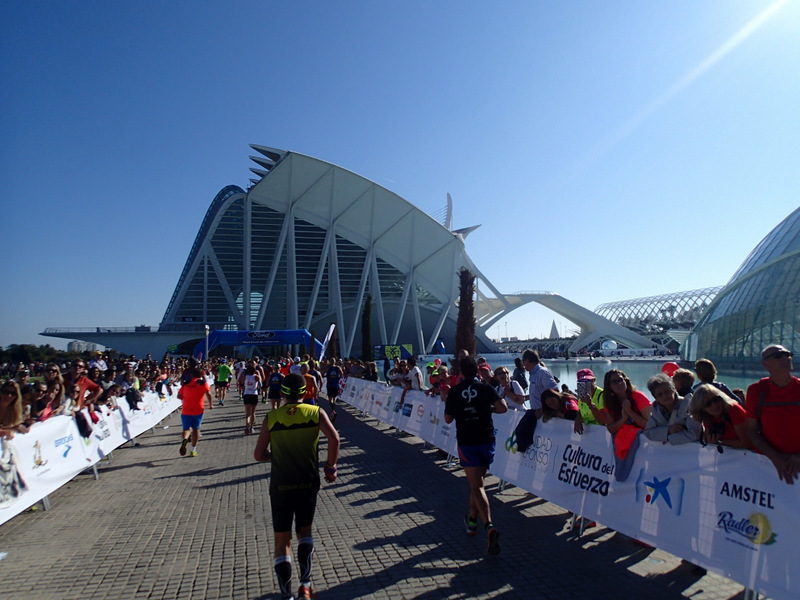 Valencia Marathon 2015 