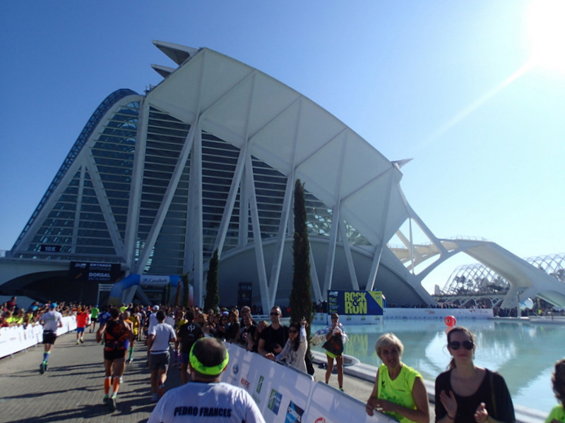 Valencia Marathon 2015 