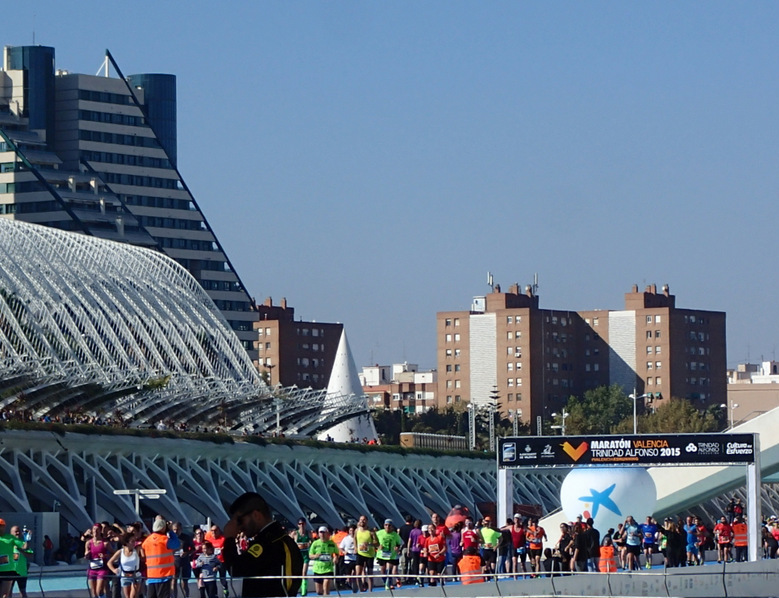 Valencia Marathon 2015 