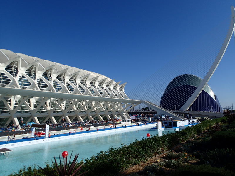 Valencia Marathon 2015 