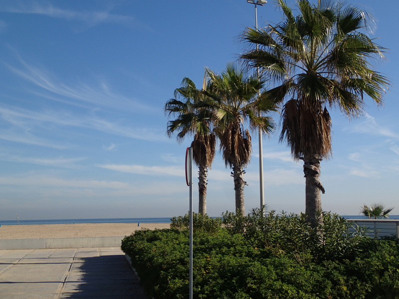 Valencia Marathon 2015 