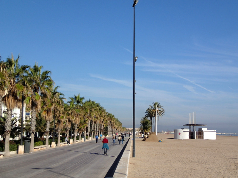 Valencia Marathon 2015 