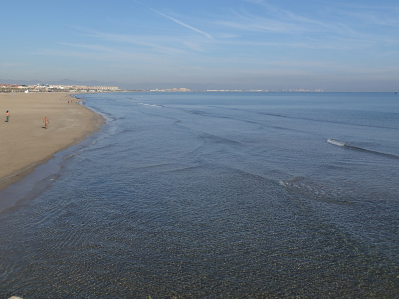 Valencia Marathon 2015 