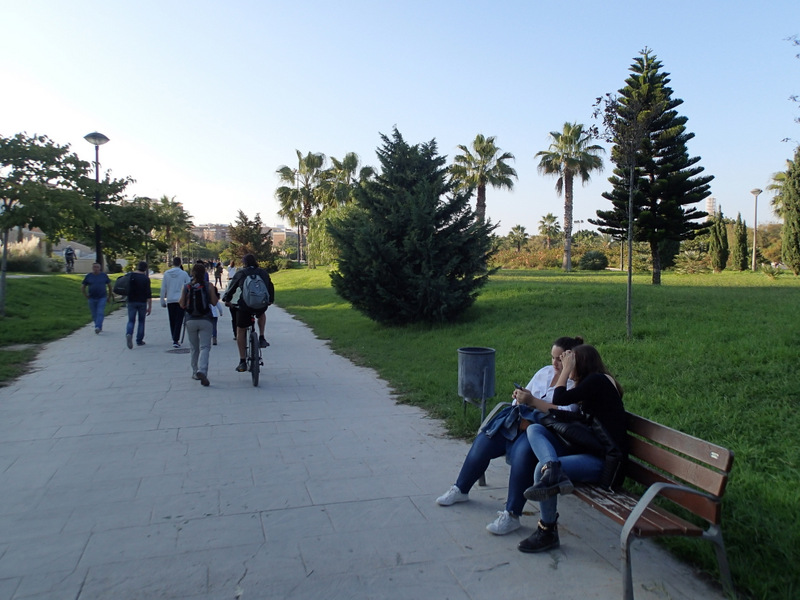 Valencia Marathon 2015 