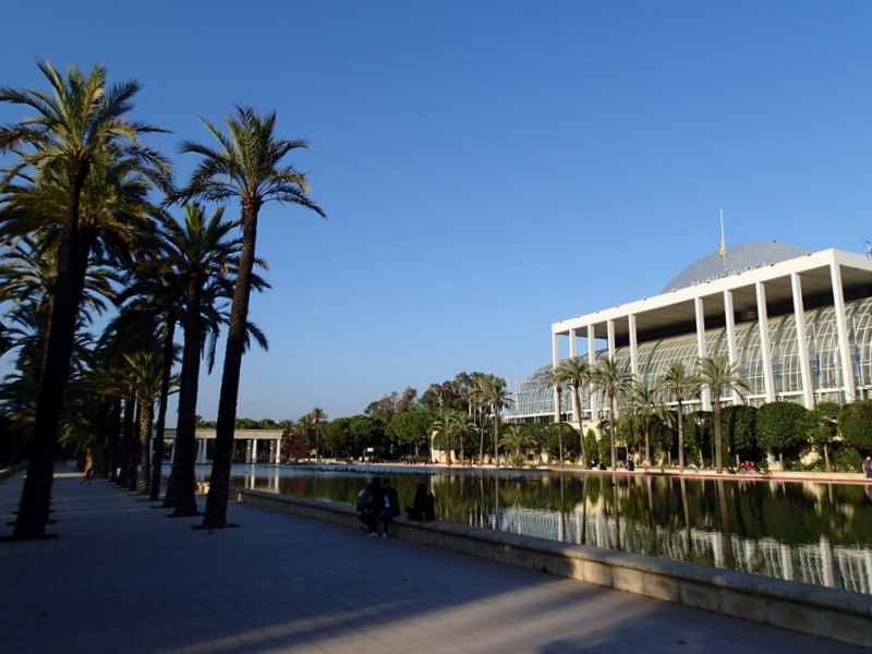 Valencia Marathon 2015 