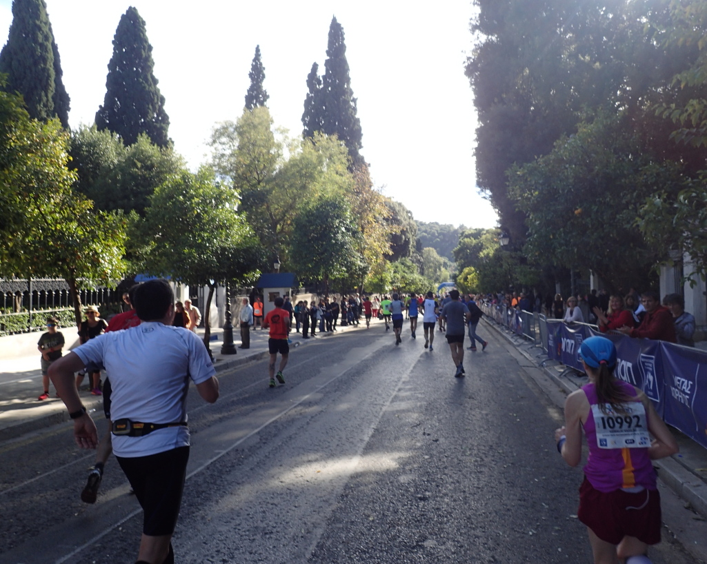 Athens Classical Marathon 2016 - Tor Rnnow