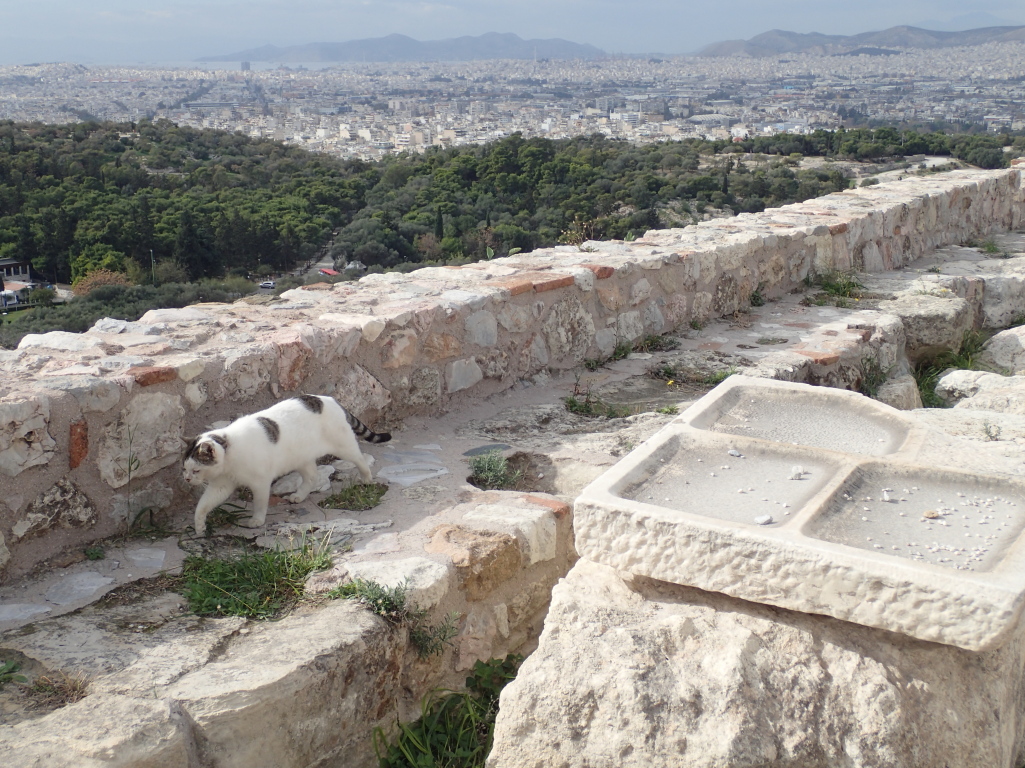 Athens Classical Marathon 2016 - Tor Rnnow